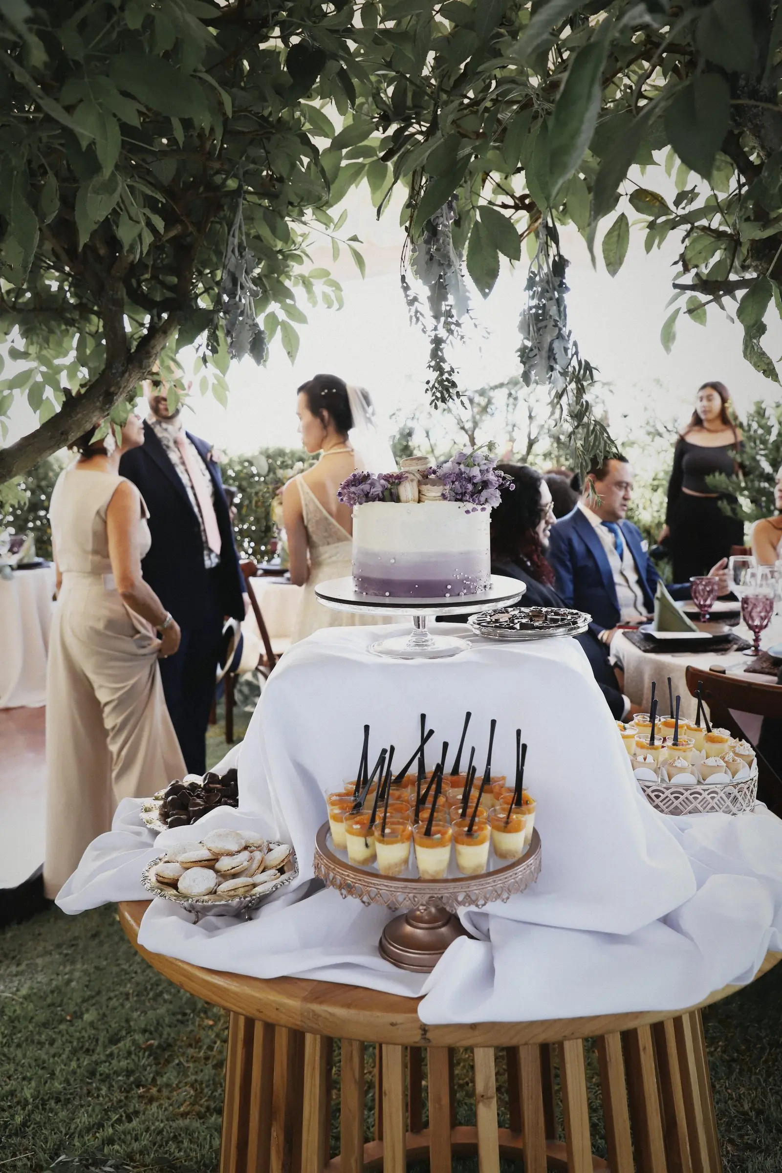A dessert table under a tree with a layered cake and petits fours.